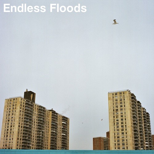 Endless Floods - II (2017)