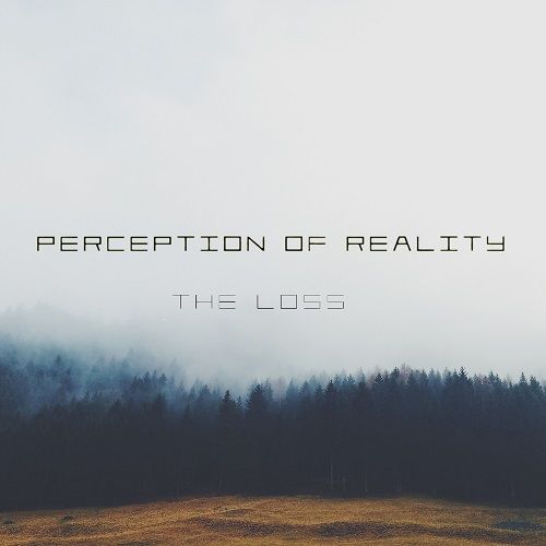 Perception Of Reality - The Loss (2017)