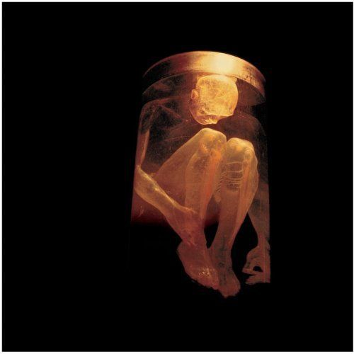 Alice In Chains - Discography (1987-2018)
