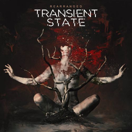 Transient State - Rearranged (2017)