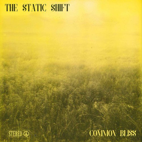 The Static Shift - Common Bliss (2017)