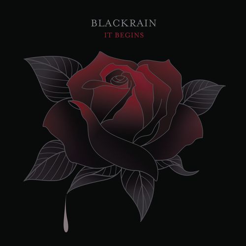 BlackRain - Discography (2006-2019)