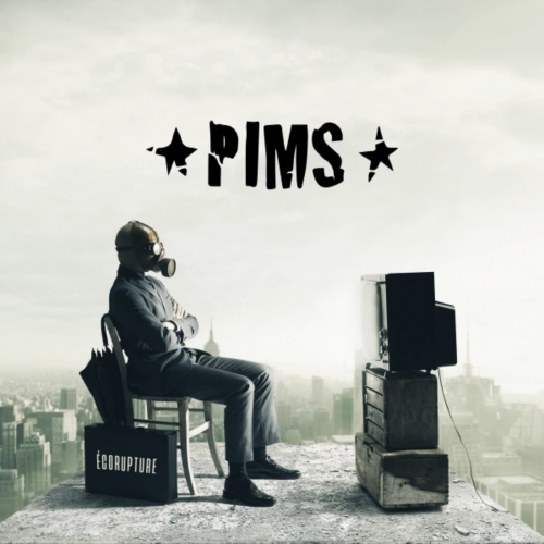 *PIMS* - Ecorupture (2017)