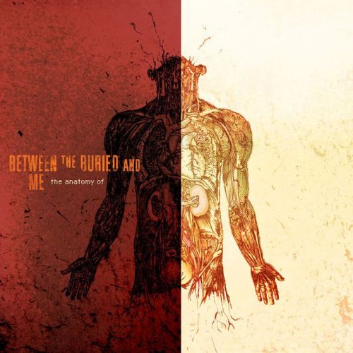 Between the Buried and Me - Discography (2002-2021)