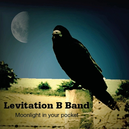 Levitation B Band - Moonlight In Your Pocket (2017)