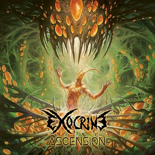 Exocrine - Ascension (2017)
