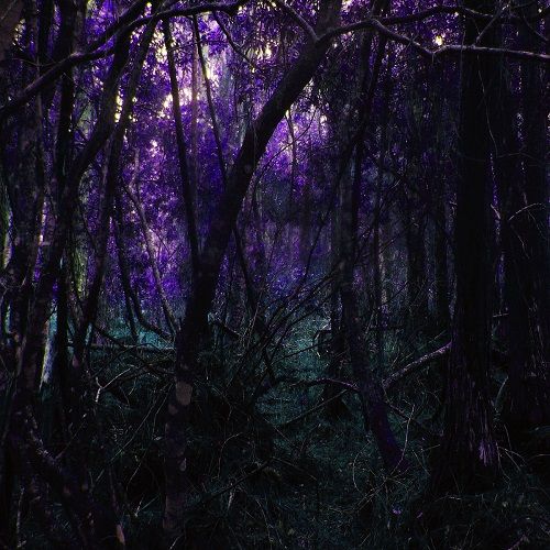 Torched Ebony Skies - Tabula Rasa / Nocuous Keloid (2017)