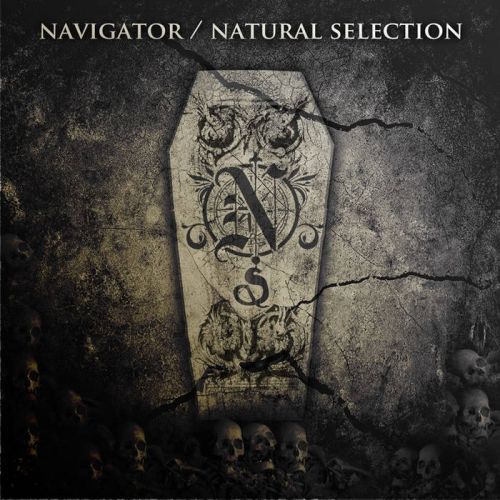 Navigator - Natural Selection (2017)