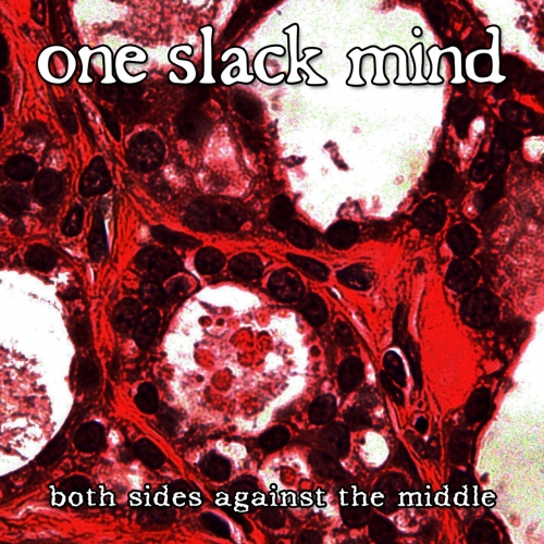 One Slack Mind - Both Sides Against the Middle (2017)