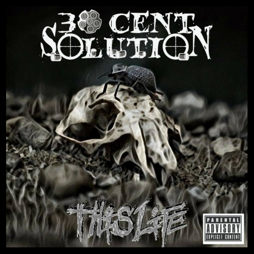 30 Cent Solution - This Life (2017)