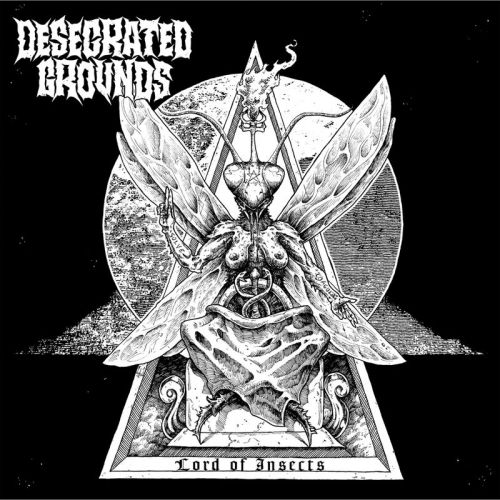 Desecrated Grounds - Lord Of Insects (2017)