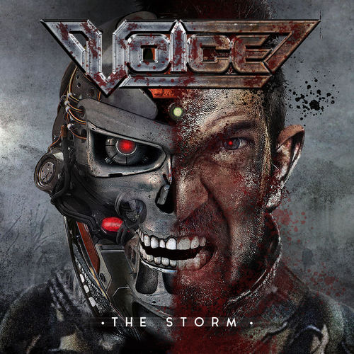 Voice - The Storm (2017)