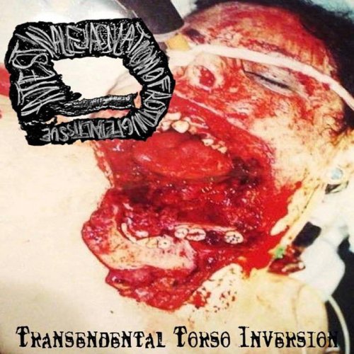 IxExOxRxFxTx - Transcendental Torso Inversion (2017)