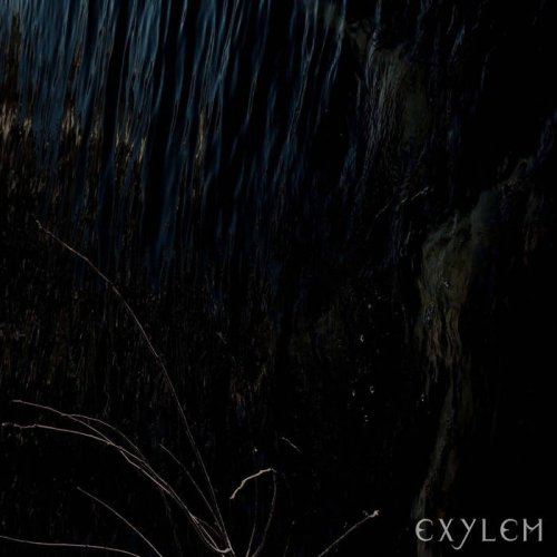 Exylem - Echoes from silent shores (2017)