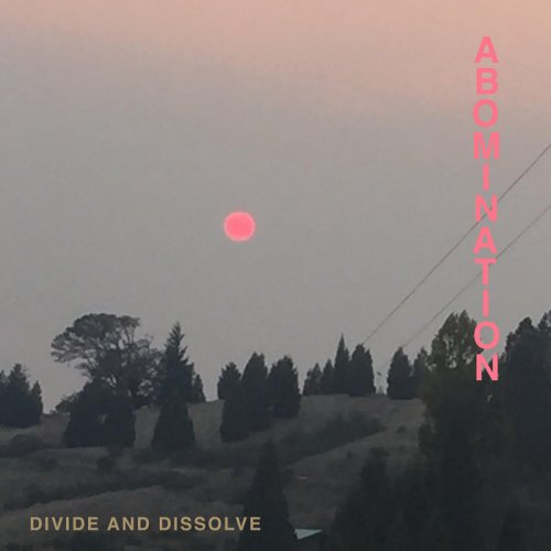 Divide And Dissolve - Abomination (2018)
