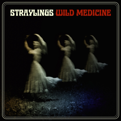 Straylings - Wild Medicine (2018)