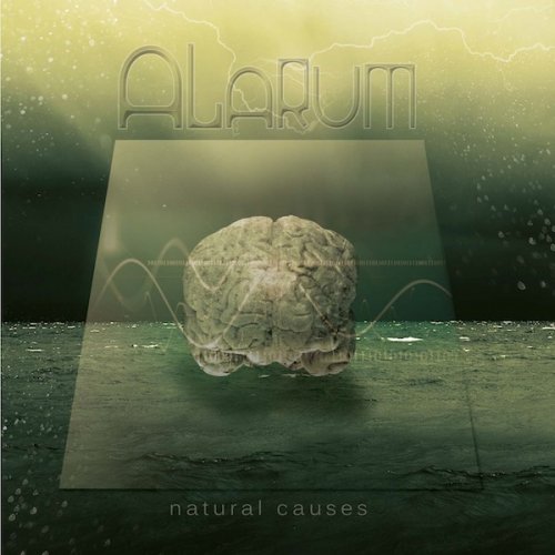 Alarum - Collection (1998-2011)