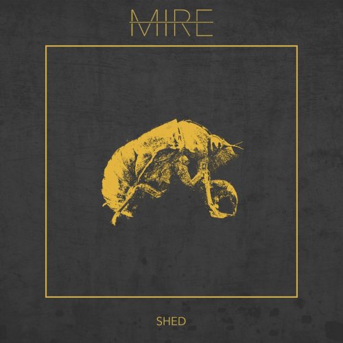 Mire - Shed (2018)