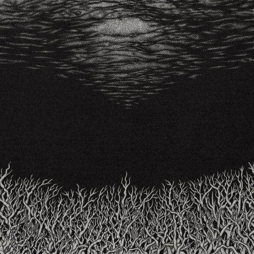 Bismuth - The Slow Dying of the Great Barrier Reef (2018)