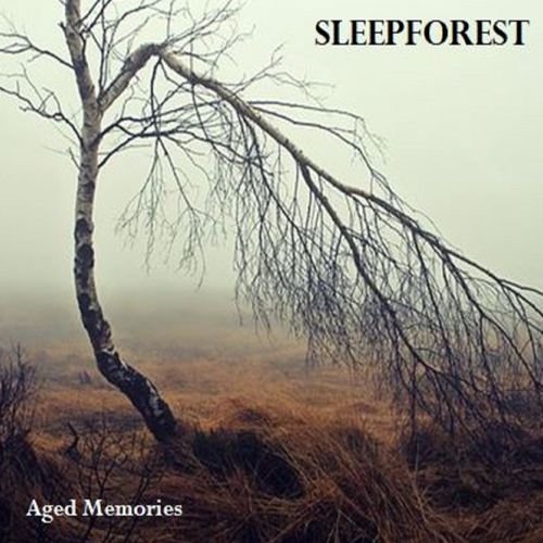 Sleepforest - Aged Memories (2018)