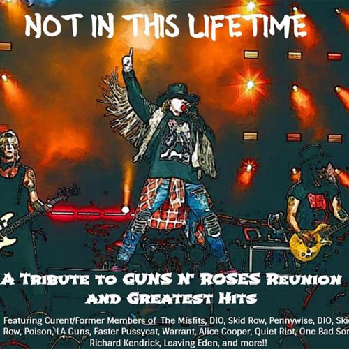 Various Artists - Not In This Lifetime: A Tribute To Guns N Roses’ Reunion & Greatest Hits (2018)