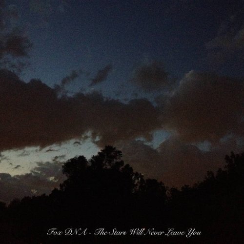 Fox DNA - The Stars Will Never Leave You (2018)