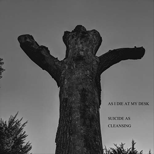 As I Die at My Desk - Suicide as Cleansing (2018)