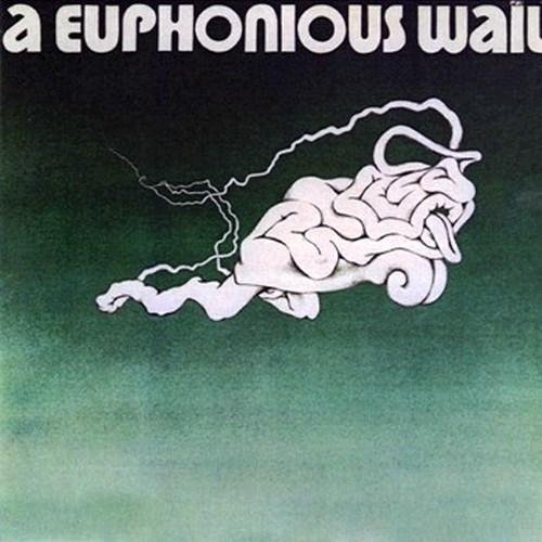 A Euphonious Wail - A Euphonious Wail (1973)