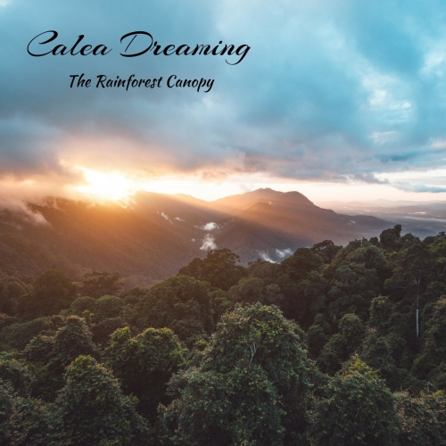 Calea Dreaming - The Rainforest Canopy (2018)