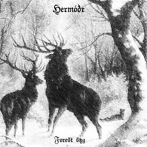 Herm&#243;&#240;r - Forest Sky (2019)