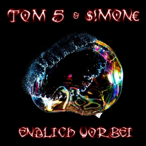Thomas Hoffmann - Tom 5 & Simone Endlich vorbei (2019)