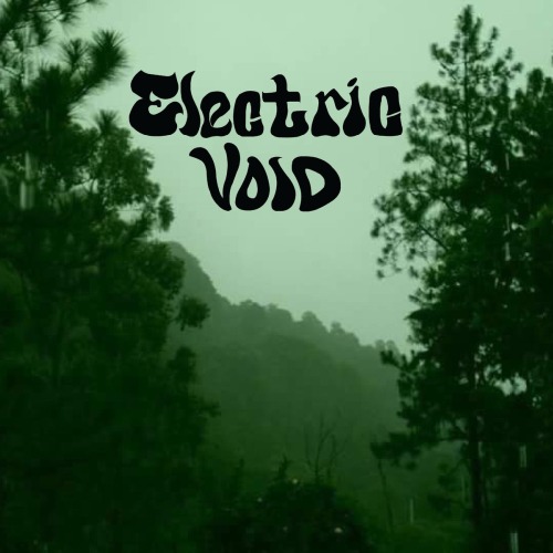 Electric Void - Take a Ride (2019)