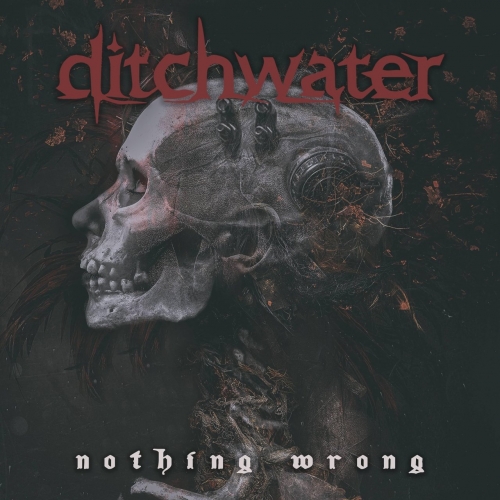 Ditchwater - Nothing Wrong (2019)