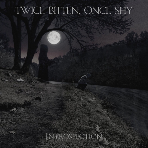 Twice Bitten, Once Shy - Introspection (2018)