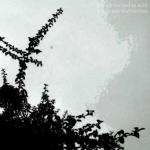The Air Turned To Acid - Black Zen Instruction (2019)