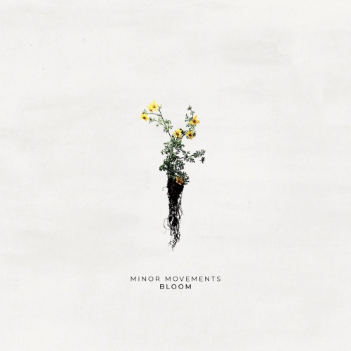 Minor Movements - Bloom (2019)