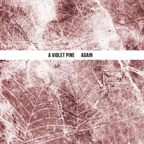A Violet Pine - Again (2019)