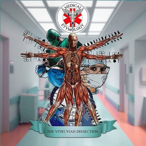 Medical Etymology - The Vitruvian Dissection