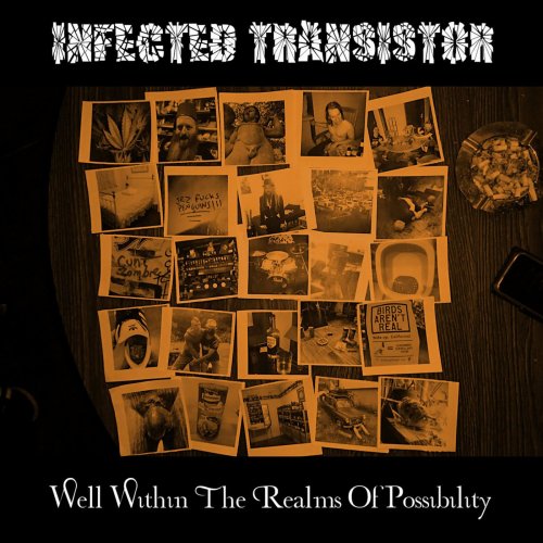 Infected Transistor - Well Within The Realms Of Possibility (2019)