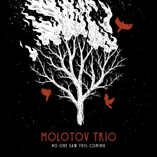 Molotov Trio - No One Saw This Coming (2019)