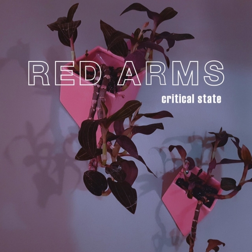 Red Arms - Critical State (2019)