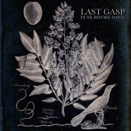 Dusk Before Dawn - Last Gasp (EP) (2019)