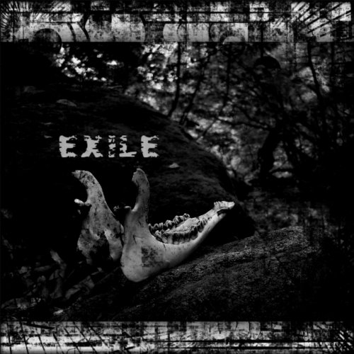 Effigy Of Hate - Exile (2020)