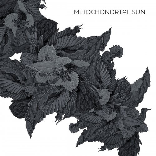 Mitochondrial Sun - Mitochondrial Sun (2020)