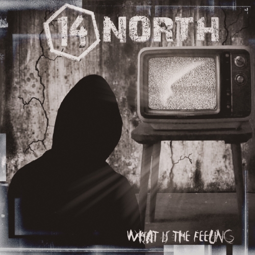 14 North - What is the Feeling (2020)