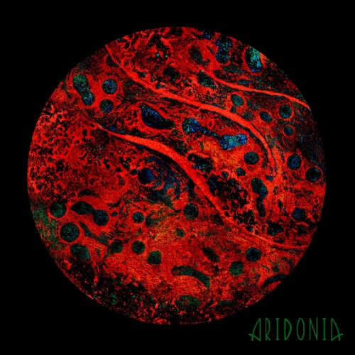 Aridonia - Aridonia (2020)