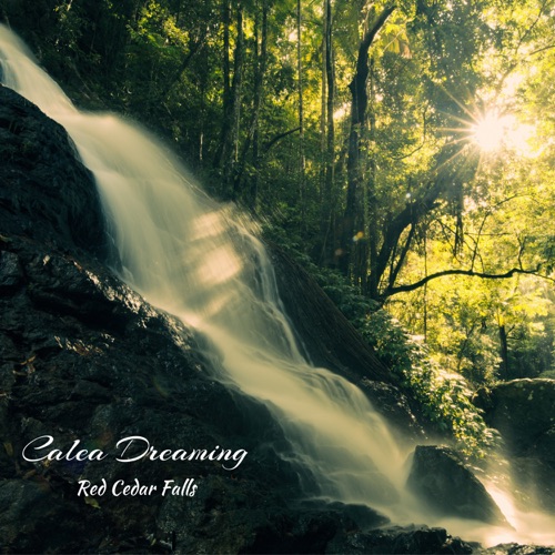 Calea Dreaming - Red Cedar Falls (2020)