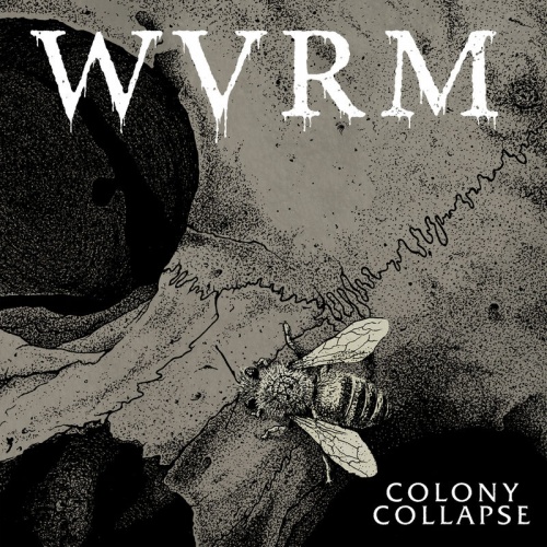 WVRM - Colony Collapse (2020)
