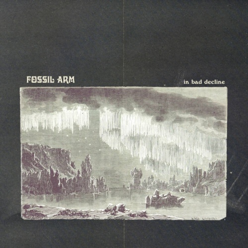 Fossil Arm - In Bad Decline (2020)