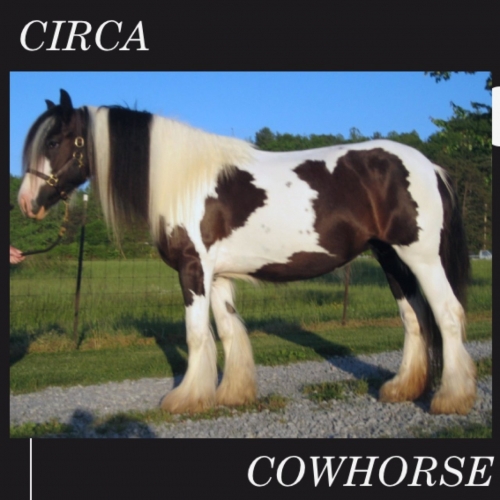 Circa - The Cowhorse (2020)
